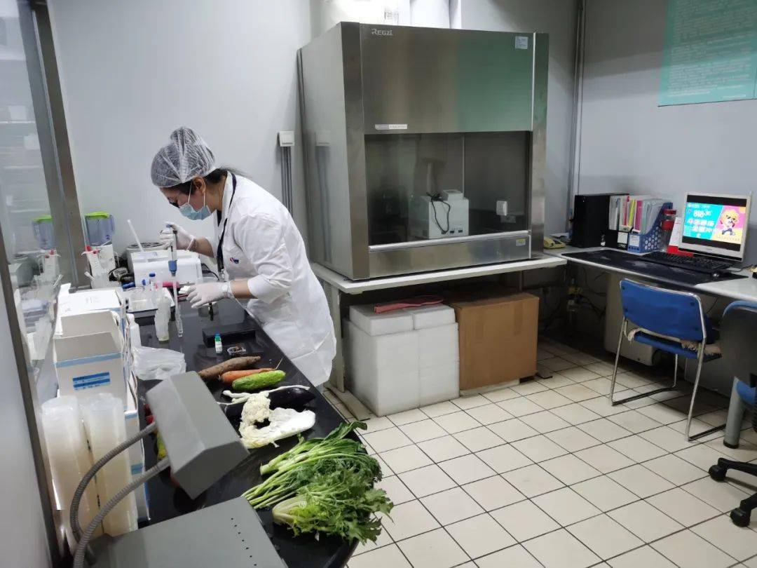 湘东食品检测实验室装修方案